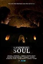 Watch Wandering Soul Alluc
