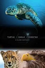 Watch Turtle, Eagle, Cheetah: A Slow Odyssey Alluc