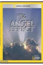 Watch National Geographic Explorer - The Angel Effect Alluc