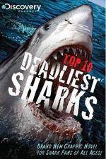 Watch National Geographic Worlds Deadliest Sharks Alluc