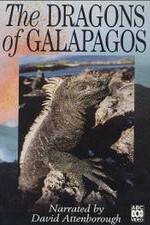 Watch The Dragons of Galapagos Alluc