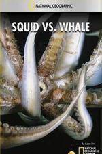 Watch National Geographic Wild - Squid Vs Whale Alluc