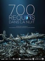 Watch 700 requins dans la nuit Alluc