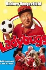 Watch Ladybugs Alluc