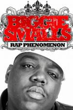 Watch Biggie Smalls Rap Phenomenon Alluc