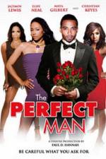 Watch The Perfect Man Alluc