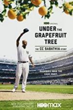 Watch Under the Grapefruit Tree: The CC Sabathia Story Alluc
