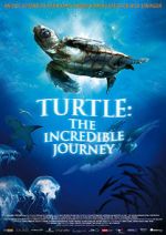 Watch Turtle: The Incredible Journey Alluc