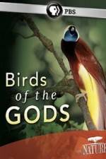 Watch Birds Of The Gods Alluc