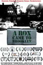 Watch A Box Came to Brooklyn Alluc