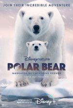 Watch Polar Bear Alluc