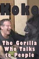 Watch Koko: The Gorilla Who Talks to People Alluc