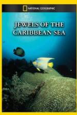 Watch National Geographic Jewels of the Caribbean Sea Alluc