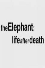 Watch The Elephant - Life After Death Alluc