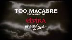Watch Too Macabre: The Making of Elvira, Mistress of the Dark Alluc
