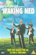 Watch Waking Ned Alluc