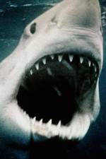 Watch Sharkmania: The Top 15 Biggest Baddest Bloodiest Bites Alluc