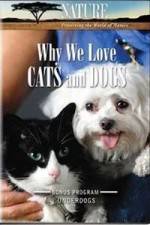 Watch Why We Love Cats And Dogs Alluc