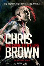 Watch Chris Brown Welcome to My Life Alluc