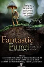 Watch Fantastic Fungi Alluc