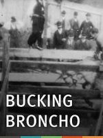 Watch Bucking Broncho Alluc