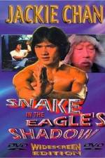Watch Bruce Vs. Snake In Eagle's Shadow Alluc