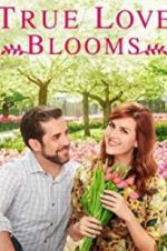 Watch True Love Blooms Alluc
