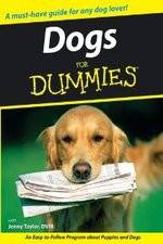 Watch Dogs for Dummies Alluc