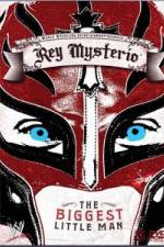 Watch WWE Rey Mysterio - The Biggest Little Man Alluc