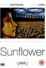 Watch Sunflower Alluc