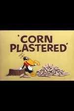 Watch Corn Plastered (Short 1951) Alluc