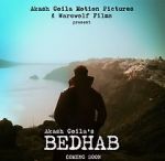 Watch Bedhab Online Alluc