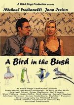 Watch A Bird in the Bush Alluc
