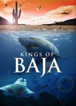 Watch Kings of Baja Alluc