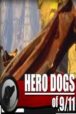 Watch Hero Dogs of 911 Documentary Special Alluc