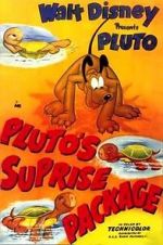 Watch Pluto\'s Surprise Package Alluc