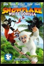 Watch Snowflake, the White Gorilla Alluc