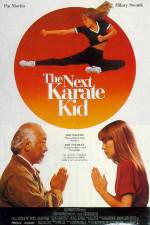 Watch The Next Karate Kid Alluc