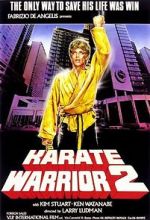 Watch Karate Warrior 2 Alluc