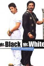 Watch Mr White Mr Black Alluc