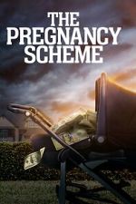 Watch The Pregnancy Scheme Alluc