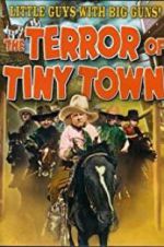 Watch The Terror of Tiny Town Alluc