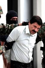 Watch The Rise and Fall of El Chapo Alluc