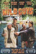 Watch The Wild Guys Alluc