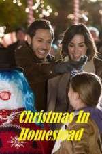 Watch Christmas in Homestead Alluc