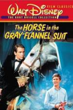 Watch The Horse in the Gray Flannel Suit Alluc