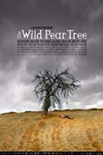 Watch The Wild Pear Tree Alluc