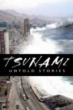 Watch Tsunami: Untold Stories Alluc