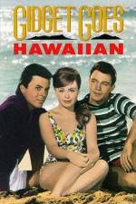 Watch Gidget Goes Hawaiian Alluc