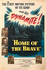 Watch Home of the Brave Alluc